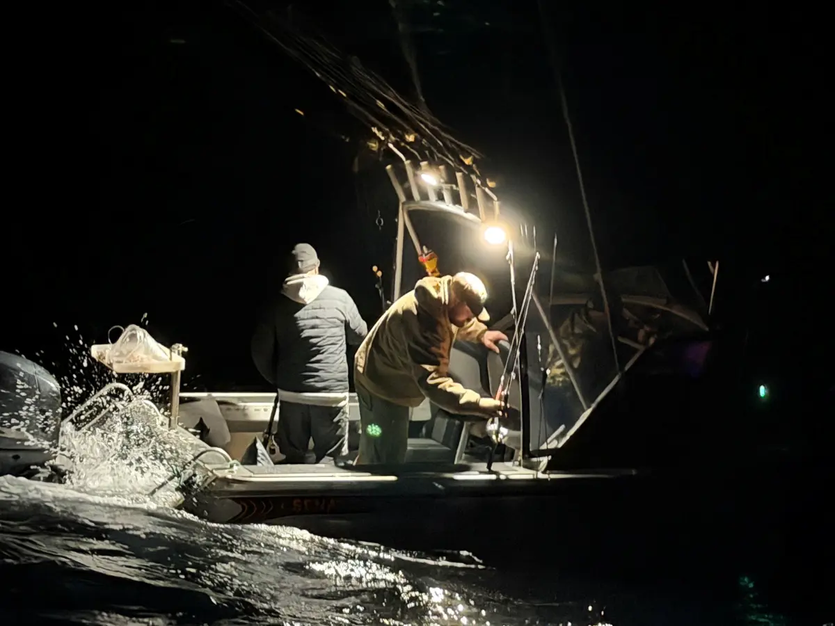 40kg Southern Bluefin Tuna Landed After Two Hard Days Offshore — Get The Treats