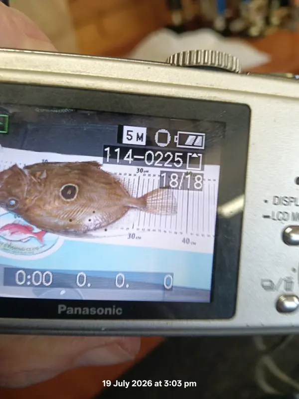 John Dory