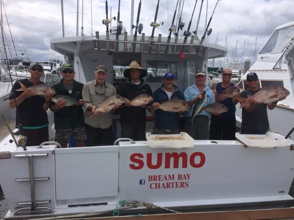 Sumo